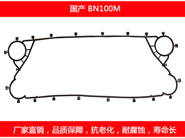 BN100M 國產可拆式板式麻豆视频APP下载安装密封墊片