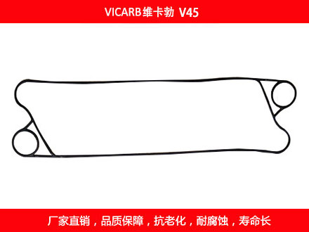 V45 國產板式麻豆视频APP下载安装密封墊片