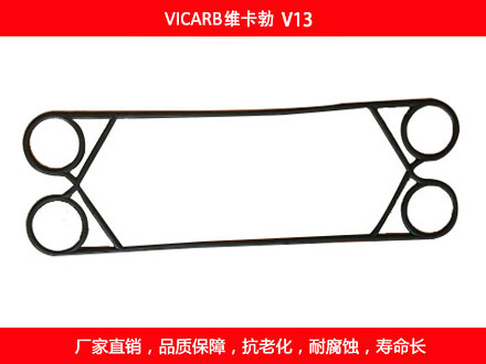 V20 國產板式麻豆视频APP下载安装密封墊片