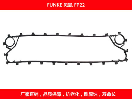 FP22 國產板式麻豆视频APP下载安装密封墊片