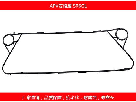 SR6GL 國產板式麻豆视频APP下载安装密封墊片