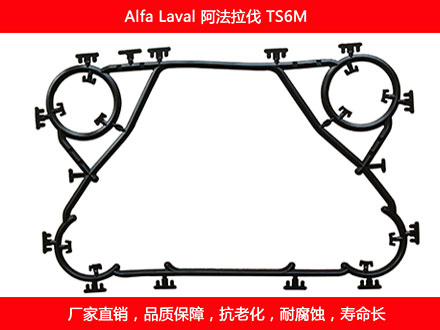 TS6M 國產板式麻豆视频APP下载安装密封墊片