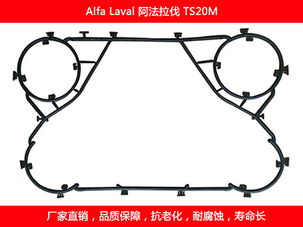 TS20M 國產板式麻豆视频APP下载安装密封墊片