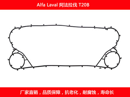 T20B 國產板式麻豆视频APP下载安装密封墊片