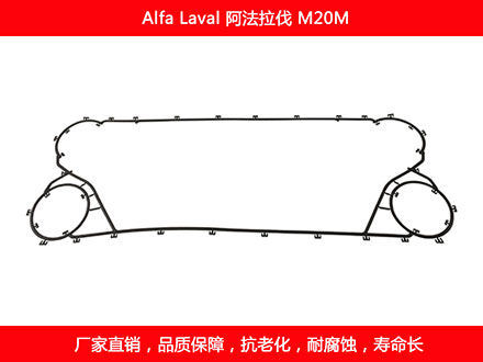 M20M 國產板式麻豆视频APP下载安装密封墊片
