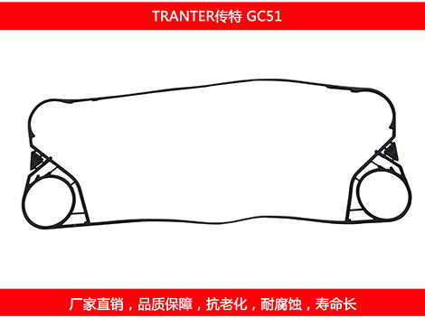 GC51 國產板式麻豆视频APP下载安装密封墊片